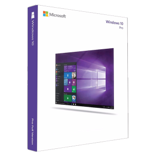 Windows 10 Professional