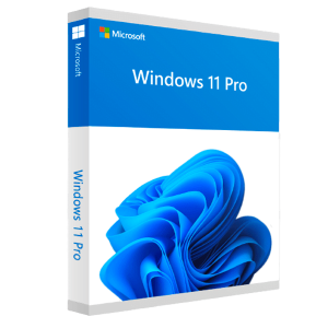 Windows 11