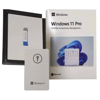 Window-11-Pro_usb_1002