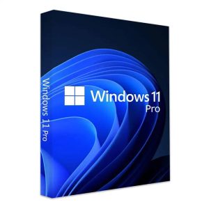 Windows 11 Pro | 1 Pc Retail